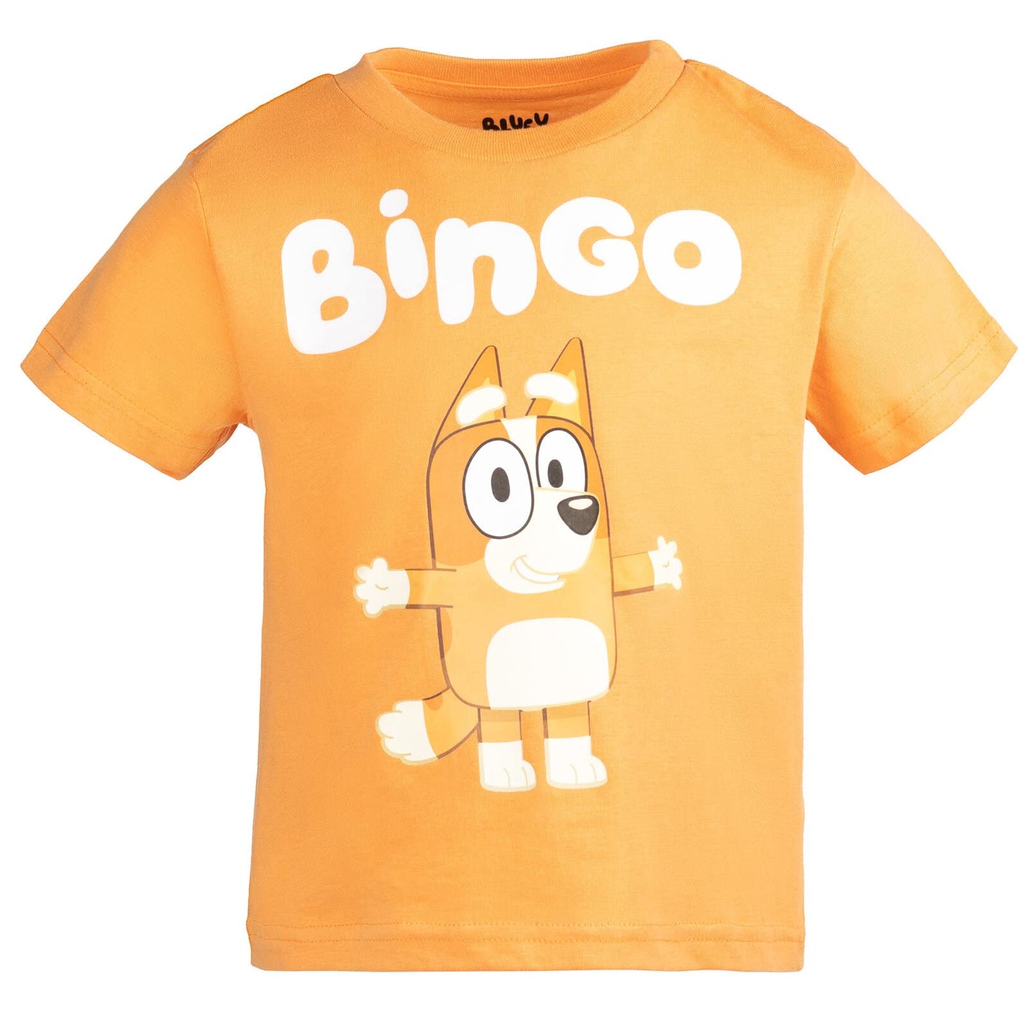 Bluey Bingo 3 Pack Graphic T-Shirts Toddler to Big Kid