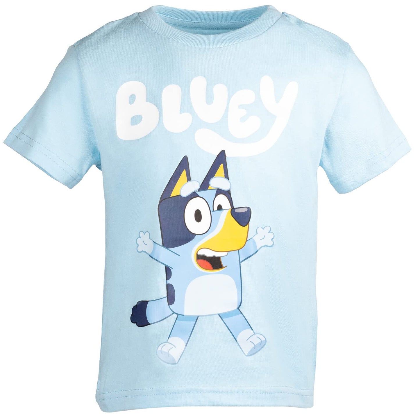 Bluey Bingo 3 Pack Graphic T-Shirts Toddler to Big Kid