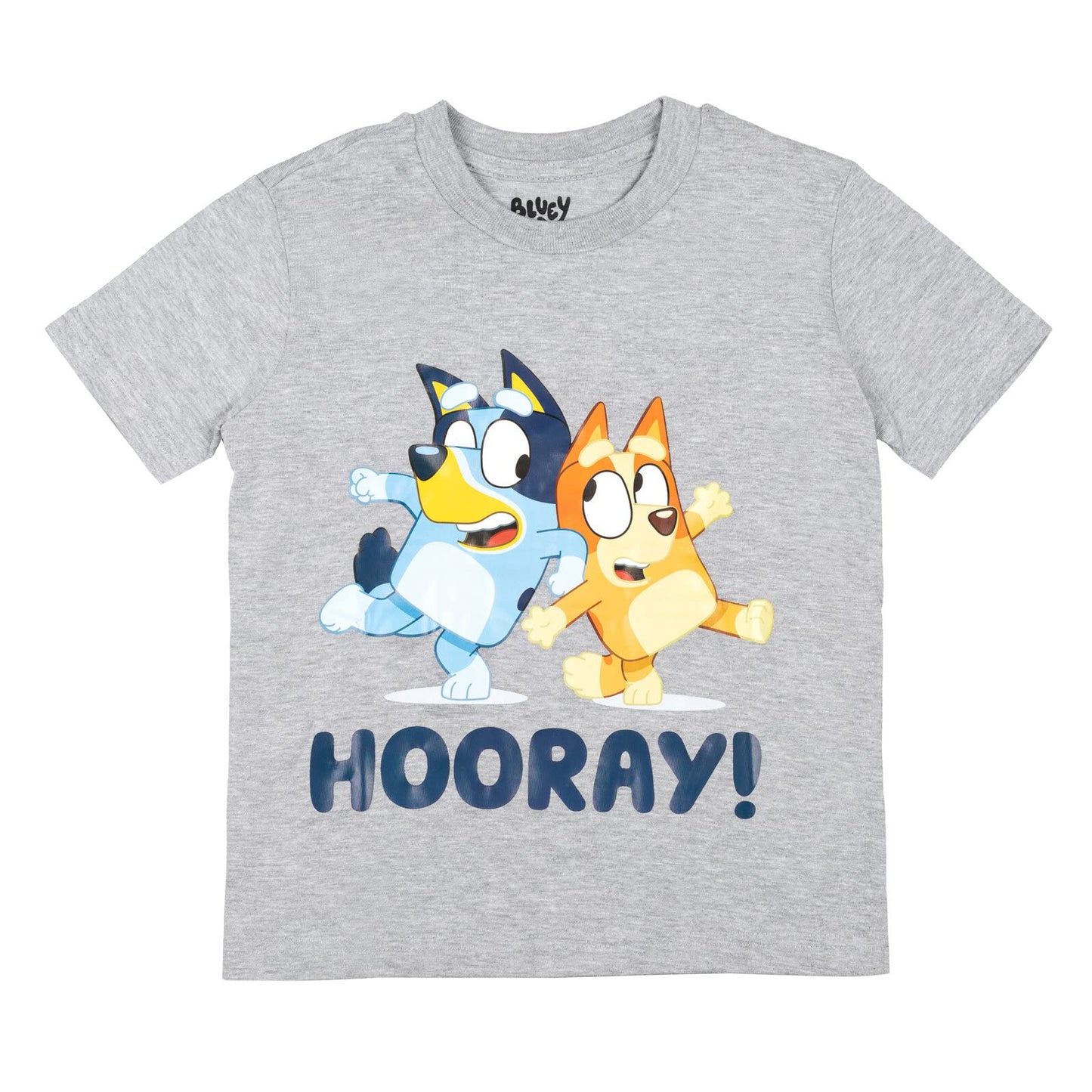 Bluey Bingo 3 Pack Graphic T-Shirts Toddler to Big Kid