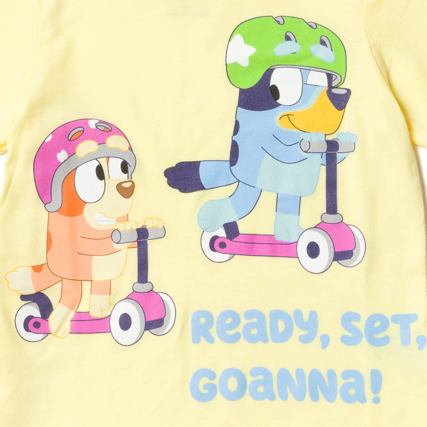 Bluey Bingo 3 Pack Graphic T-Shirts Toddler to Big Kid