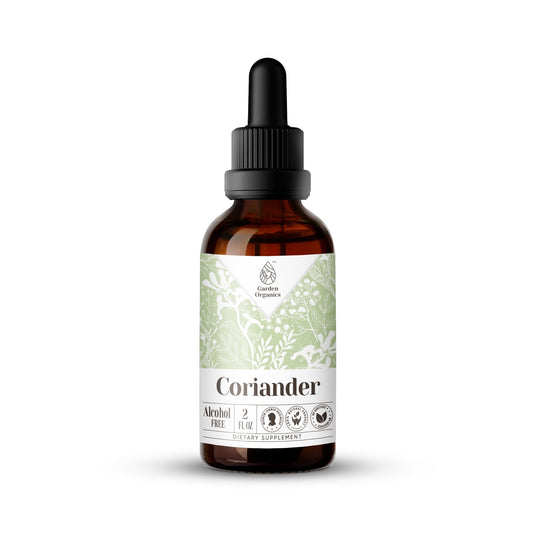 Coriander Seed Extract, Natural Herbal Supplement for Digestive Support, Coriander (Coriandrum Sativum) Dried Seed Tincture, Alcohol-Free, Drops 2 Oz